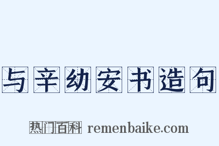 与辛幼安书造句是什么意思的图片